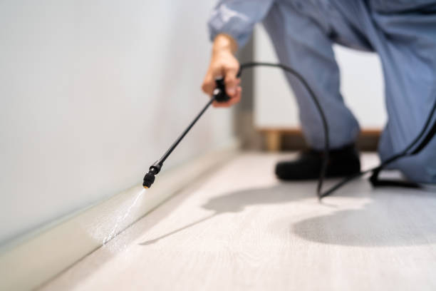 Licensed Pest Control service in Scott AFB, IL - Show Me Pest Control