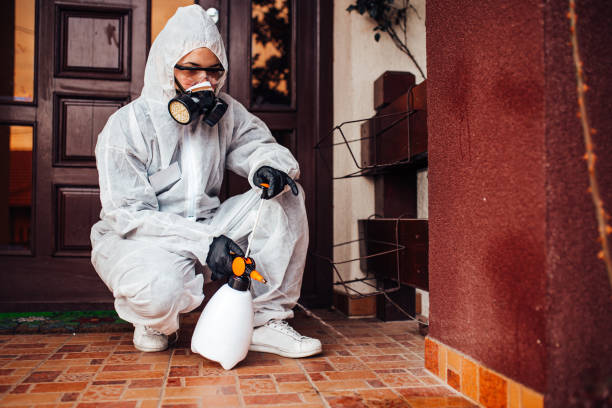 Multi-Unit and Airbnb Bed Bug Protocol in Scott AFB