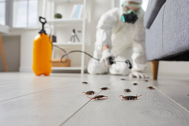 Post-Treatment Bed Bug Interceptor Monitoring in Scott AFB