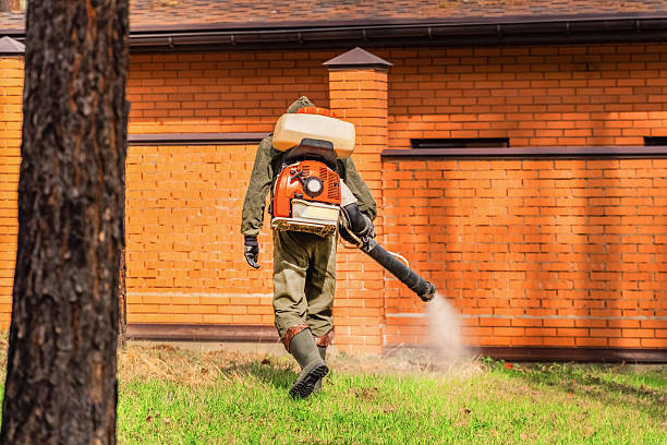 Bed Bug Clearance Verification and Documentation in Scott AFB